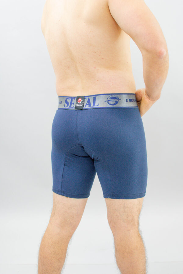 Boxer Semental - Image 2