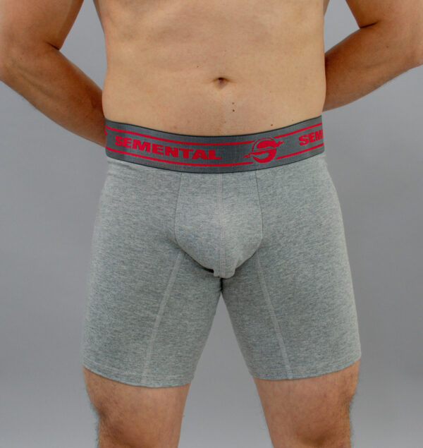 Boxer Semental - Image 3