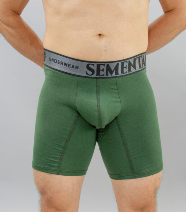 Boxer Semental - Image 4