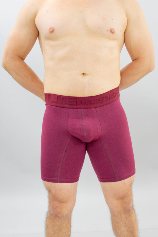 Boxer JG - Image 3